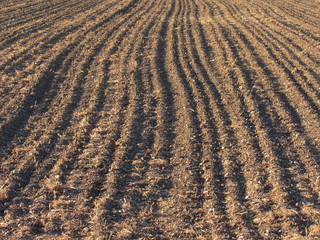 Landwirtschaft - Ackerfeld