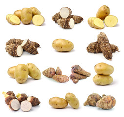 taro root and potato on white background
