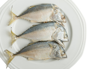 Thai Mackerel