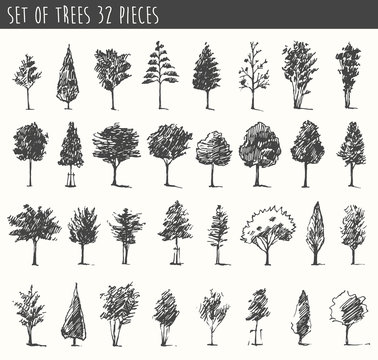 Trees sketch set, vintage vector style, hand drawn
