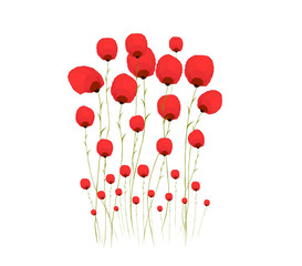 Pretty red flower watercolour