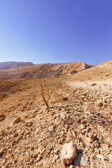 Rocky Hills