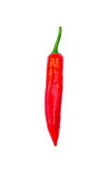 chili pepper isolated on white background