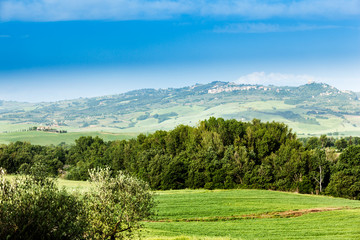 Naklejka na ściany i meble Spring landscape of fields Tuscany, Italy
