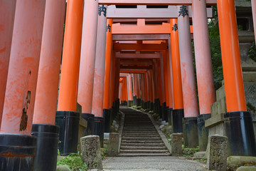 Torii, Fushimi Inari-Taisha, Kyoto