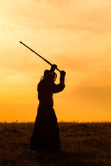 Silhouette of kendo fighter with shinai