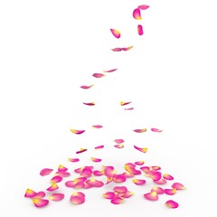 Rose petals fall to the floor