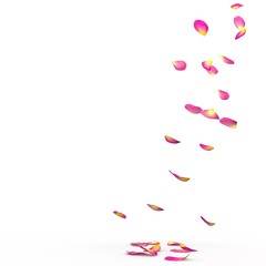 Rose petals fall to the floor