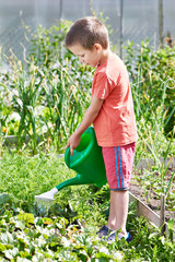 Little boy pour in garden