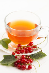 tea in cup and fresh red currant