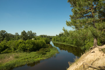 Overcast day in summer