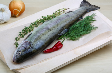 Raw trout