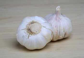 Garlic