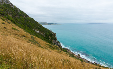 Nugget Point New Zealand