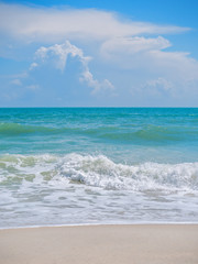 Palm and tropical beach