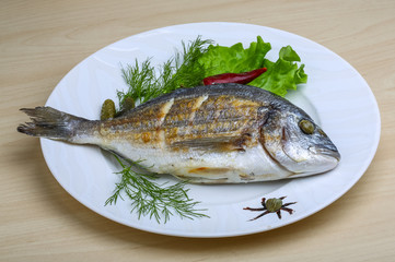 Grilled dorado