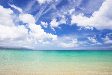 Fototapeta na wymiar 沖縄のビーチ・東村・ウッパマビーチ 