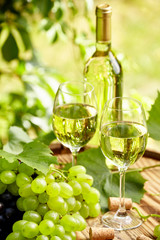 Bottle of white wine with wineglass and grapes on garden terrace