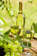 Bottle of white wine with wineglass and grapes on garden terrace