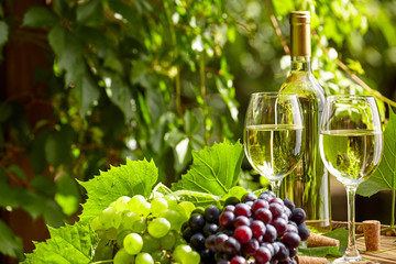 Grape and white wine on wooden barrel on garden terrace