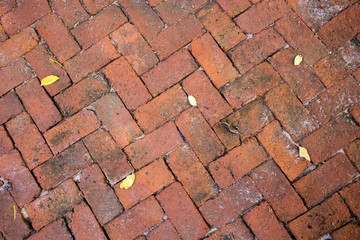 patterned paving tiles, cement brick floor background..