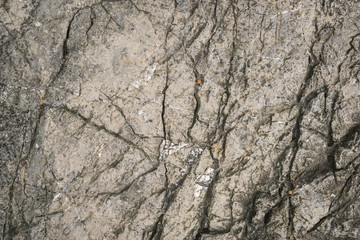 Rock texture and surface