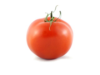 Tomate vor weissem Hintergrund 