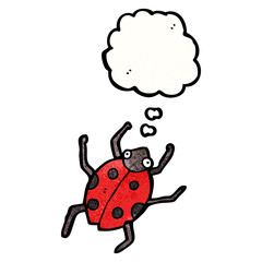 cartoon ladybug