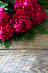 Bunch of peonies on the boards