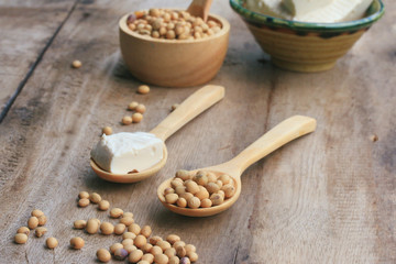 Soybeans and tofu
