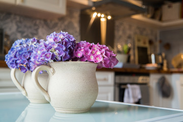 Earthen cup with hydrangea with blurres kitchen in background