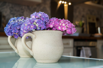 Earthen cup with hydrangea with blurres kitchen in background