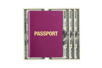 Passport on Dollar Banknotes