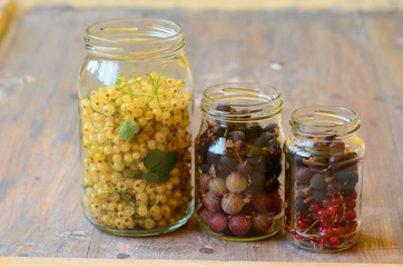 Gooseberries and currants in jars to preparation