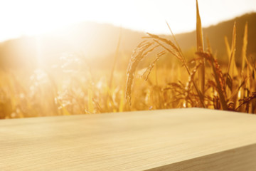 Empty  wooden table with wheat field background