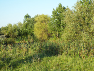 Vacaresti or pit-Delta Park of Bucharest