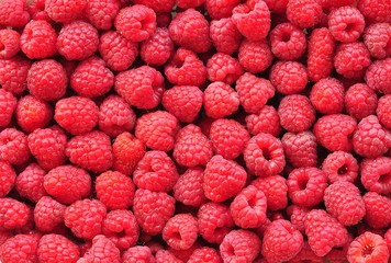 organic fresh raspberries background