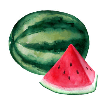 Vector watercolor hand drawn watermelon illustration.