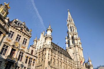 Fototapeta premium The townhall of Brussels (Belgium)