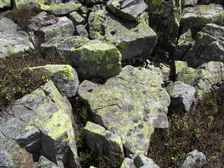 Цветущие камни Горган