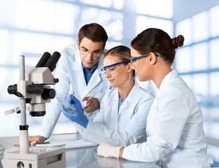 Fototapeta premium Laboratory, Biotechnology, Research.