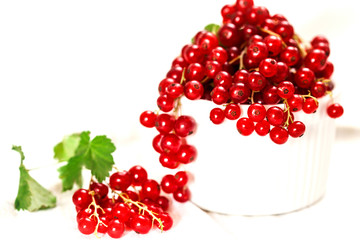 Red Currant in white bowl