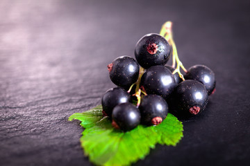 Black currant on green leaf