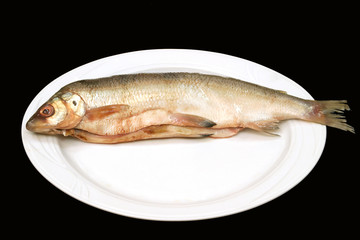 fish on a white plate