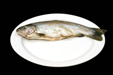 fish on a white plate