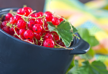 red currant