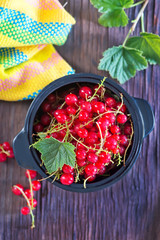 red currant