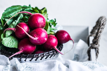 Radishes on white background