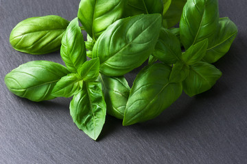 Basil leaves on a black slate