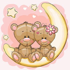 Fototapeta premium Two Bears on the moon